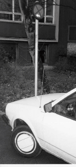 parkchaos-1.gif (67865 Byte)